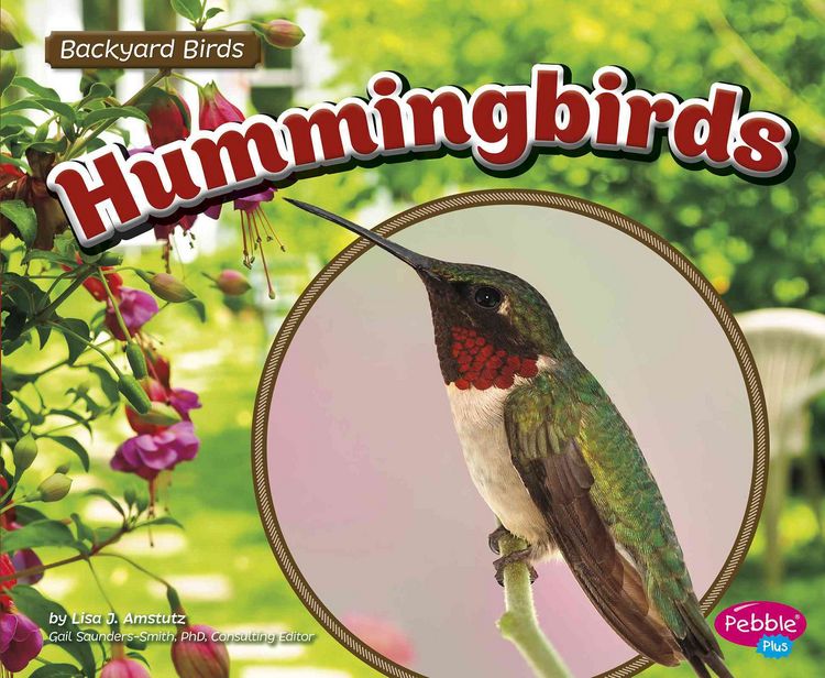 Produktbild: Hummingbirds