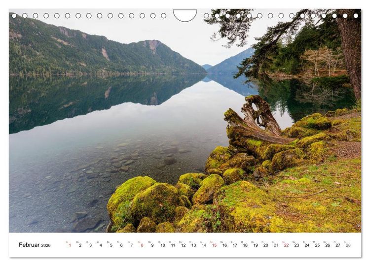 Produktbild: The Olympic National Park - Washington USA (Wandkalender 2026 DIN A4 quer), CALVENDO Monatskalender
