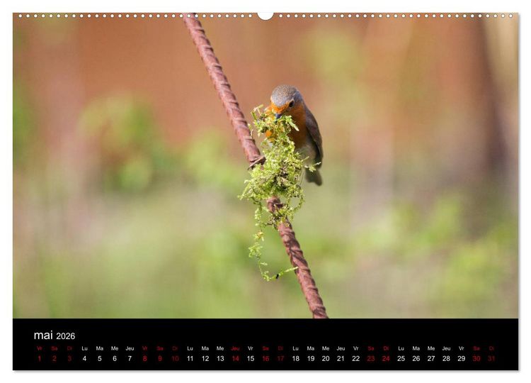 Produktbild: Mon ami le rouge-gorge (Calendrier mural 2026 DIN A2 vertical) calendrier de bureau