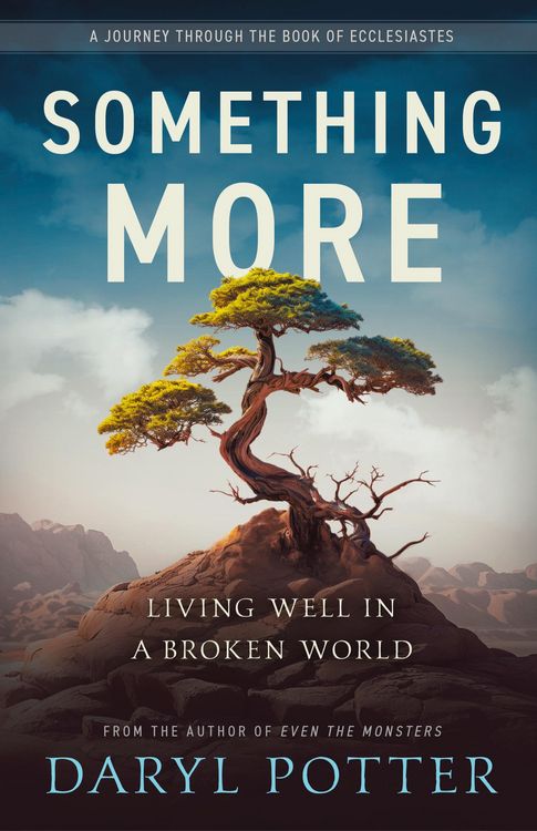 Produktbild: Something More