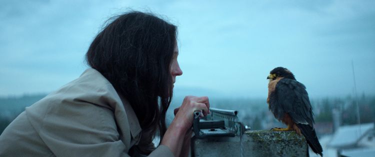 Produktbild: Chaos und Stille