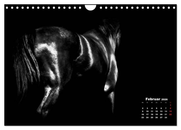 Produktbild: Pferde zwischen Licht und Schatten (Wandkalender 2026 DIN A4 quer), CALVENDO Monatskalender