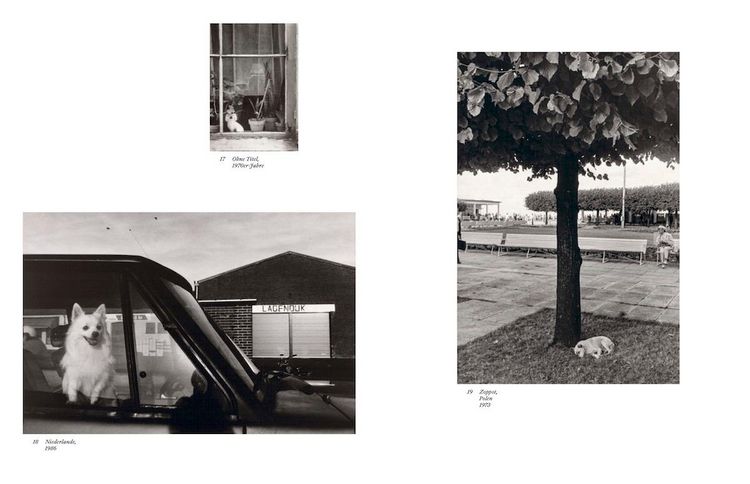 Produktbild: Sibylle Bergemann