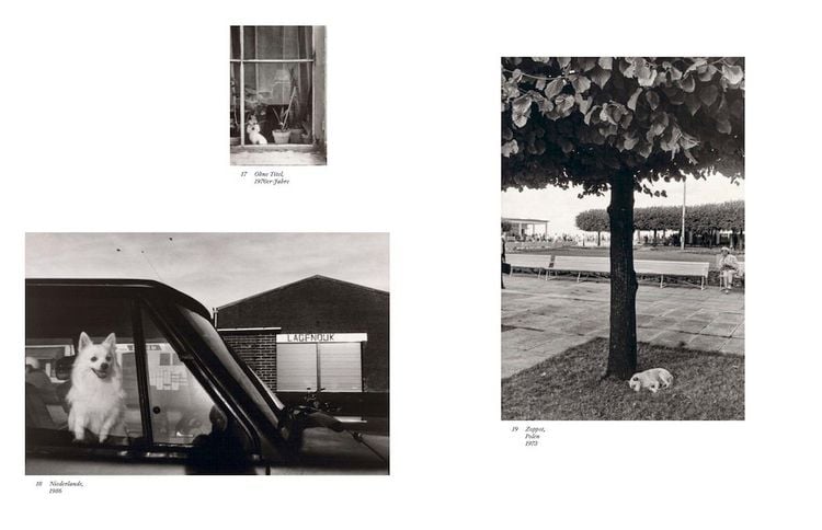 Produktbild: Sibylle Bergemann