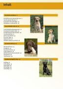 Produktbild: Labrador Retriever