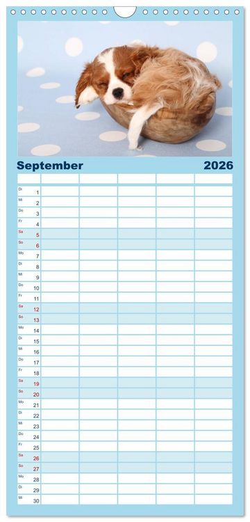 Produktbild: Familienplaner 2026 - S&uuml;&szlig;e Tr&auml;ume 2026 - schlafende Hundewelpen mit 5 Spalten (Wandkalender, 21 x 45 cm) CALVENDO