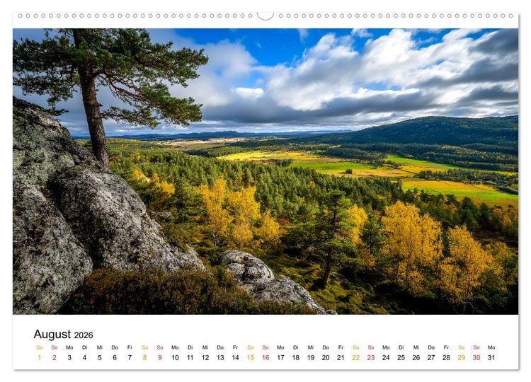 Produktbild: Mystik der W&auml;lder (Wandkalender 2026 DIN A2 quer), CALVENDO Monatskalender
