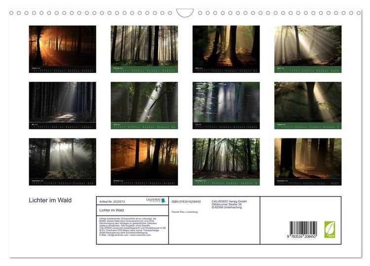 Produktbild: Lichter im Wald (Wandkalender 2026 DIN A3 quer), CALVENDO Monatskalender