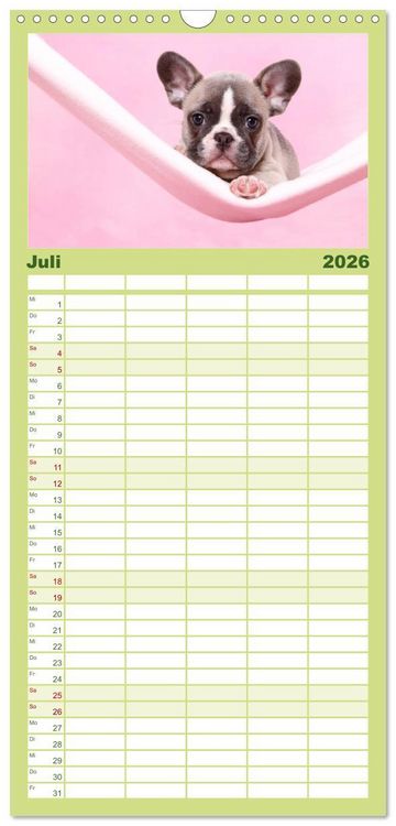 Produktbild: Familienplaner 2026 - Der Bully - Kalender Familienplaner hoch mit 5 Spalten (Wandkalender, 21 x 45 cm) CALVENDO