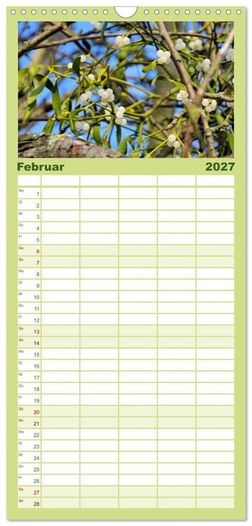 Produktbild: Familienplaner 2027 - Arzneipflanzen mit 5 Spalten (Wandkalender, 21 x 45 cm) CALVENDO