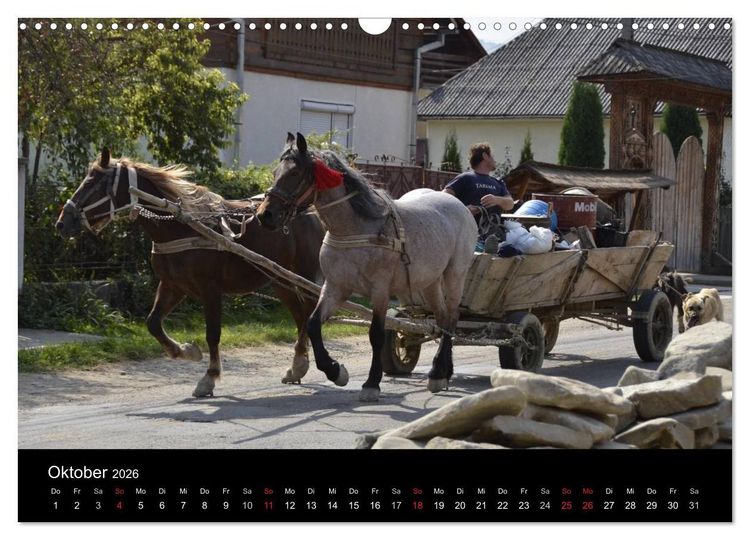 Produktbild: Maramures - Rum&auml;niens zeitloser Norden (Wandkalender 2026 DIN A3 quer), CALVENDO Monatskalender