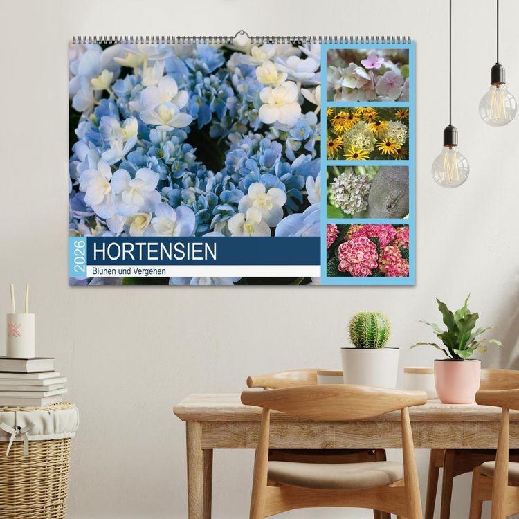 Produktbild: Hortensien Bl&uuml;hen und Vergehen (Wandkalender 2026 DIN A2 quer), CALVENDO Monatskalender