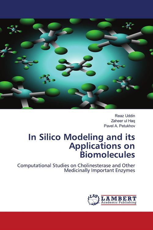 Produktbild: In Silico Modeling and its Applications on Biomolecules