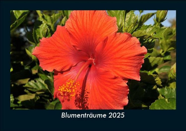 Produktbild: Blumentr&auml;ume 2025 Fotokalender DIN A5