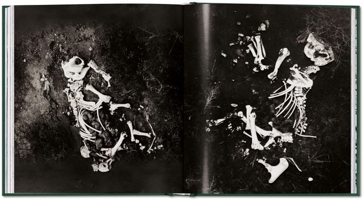 Produktbild: Peter Beard