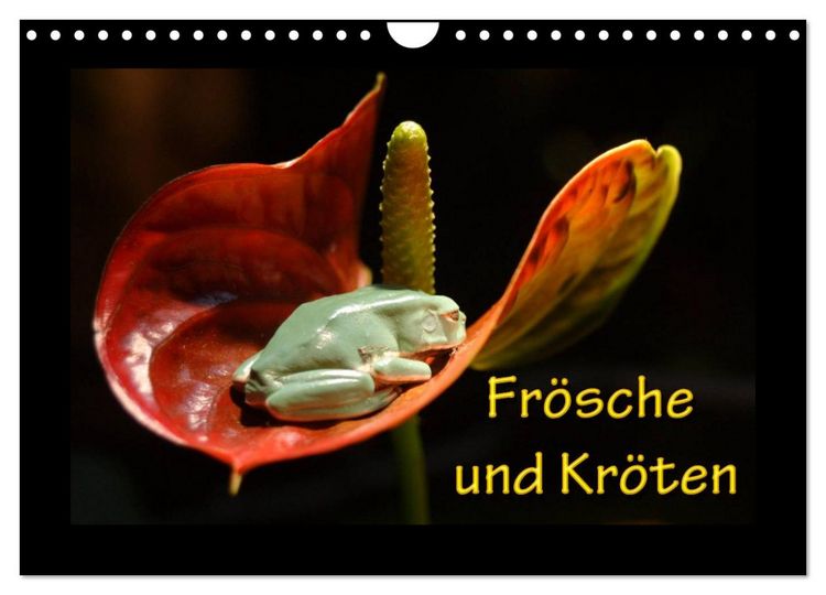 Produktbild: Fr&ouml;sche und Kr&ouml;ten (Wandkalender 2026 DIN A4 quer), CALVENDO Monatskalender
