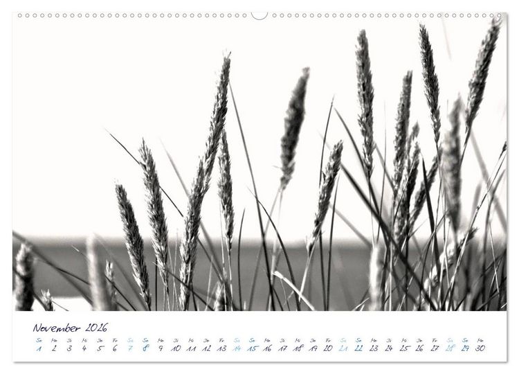 Produktbild: Meeresbilder - Nordsee-Impressionen (hochwertiger Premium Wandkalender 2026 DIN A2 quer), Kunstdruck in Hochglanz