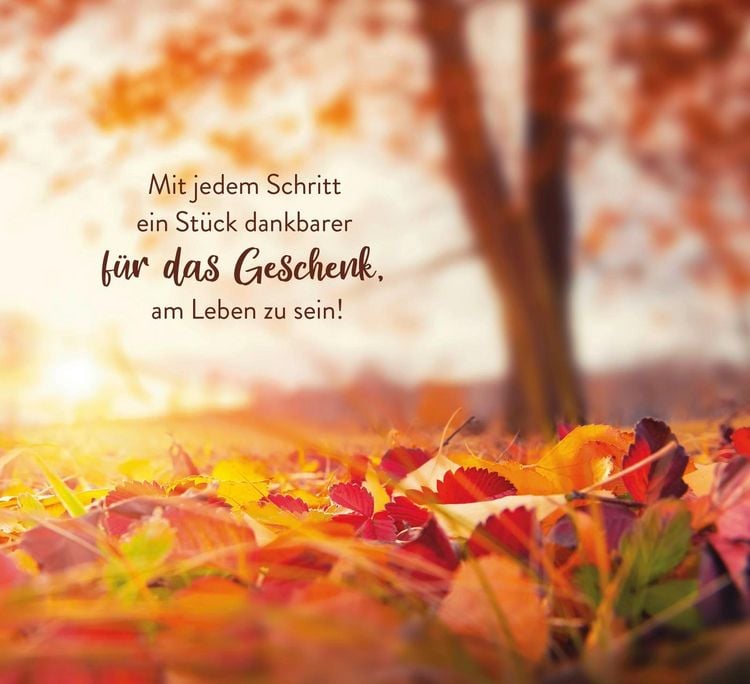 Produktbild: Indian Summer