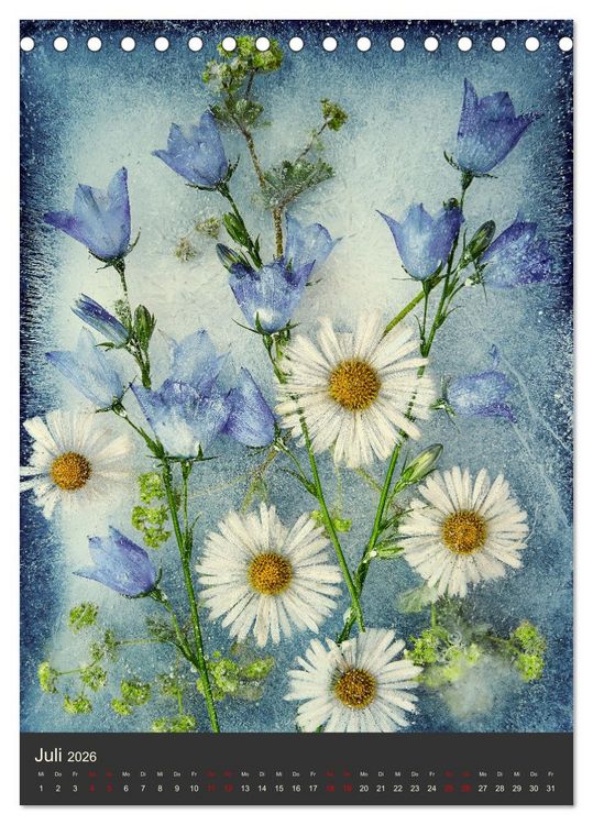 Produktbild: Magische Eisblumen (Tischkalender 2026 DIN A5 hoch), CALVENDO Monatskalender