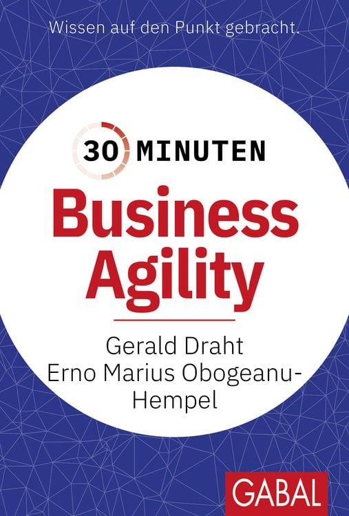 Bild vom Artikel 30 Minuten Business Agility vom Autor Gerald Draht