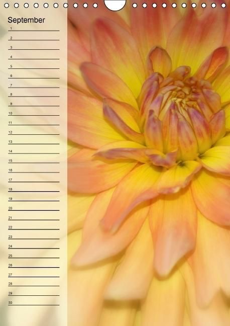 Produktbild: Immerw&auml;hrender Geburtstagskalender - Bl&uuml;tentr&auml;ume (Wandkalender immerw&auml;hrend DIN A4 hoch)