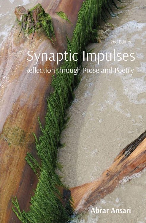 Produktbild: Synaptic Impulses