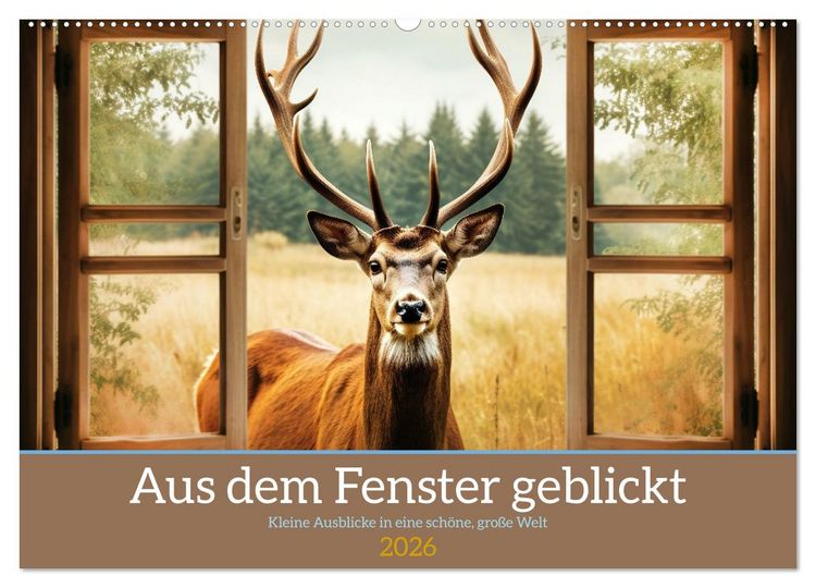 Produktbild: Aus dem Fenster geblickt (Wandkalender 2026 DIN A2 quer), CALVENDO Monatskalender