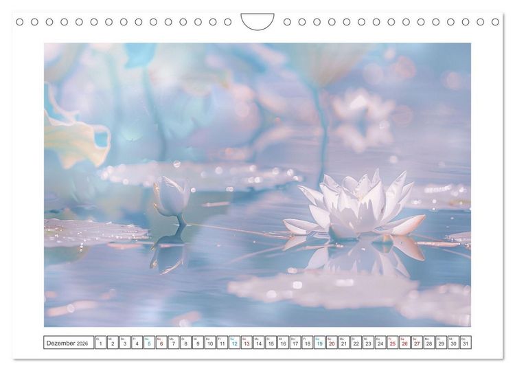 Produktbild: Lichtspiel der Seerosen (Wandkalender 2026 DIN A4 quer), CALVENDO Monatskalender