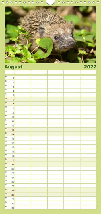 Produktbild: Familienplaner Die lieben Kleinen ... Tierkinder einfach zum Knuddeln (Wandkalender 2022 , 21 cm x 45 cm, hoch)