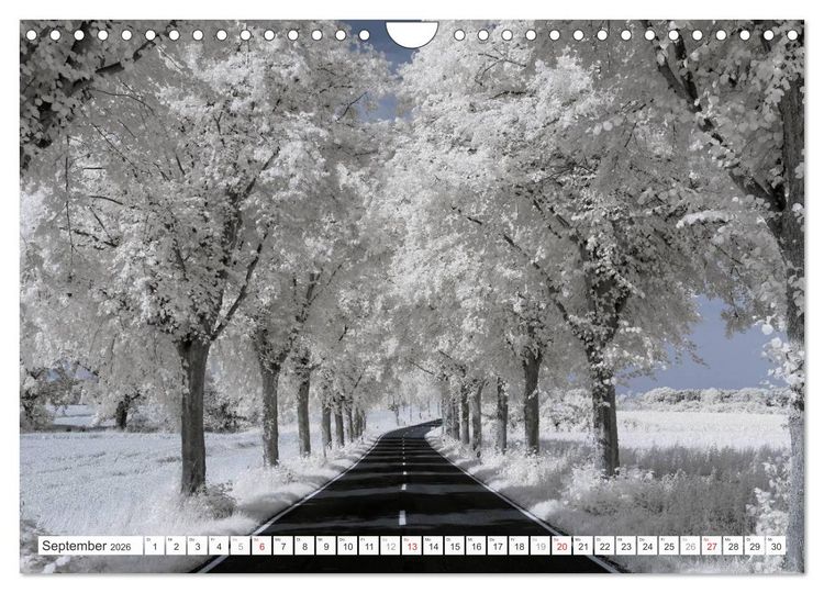 Produktbild: Zauberhafte Infrarot-Fotografie (Wandkalender 2026 DIN A4 quer), CALVENDO Monatskalender
