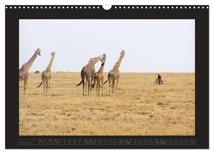 Produktbild: Kenia (Wandkalender 2026 DIN A3 quer), CALVENDO Monatskalender