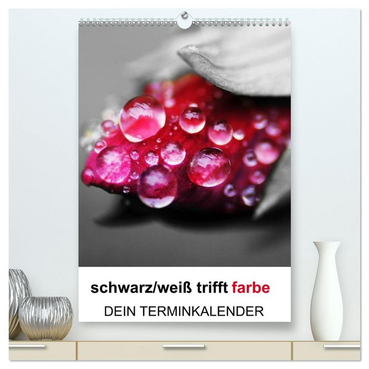 Produktbild: schwarz/wei&szlig; trifft farbe - DEIN TERMINKALENDER / Planer (hochwertiger Premium Wandkalender 2026 DIN A2 hoch), Kunstdruck in Hochglanz