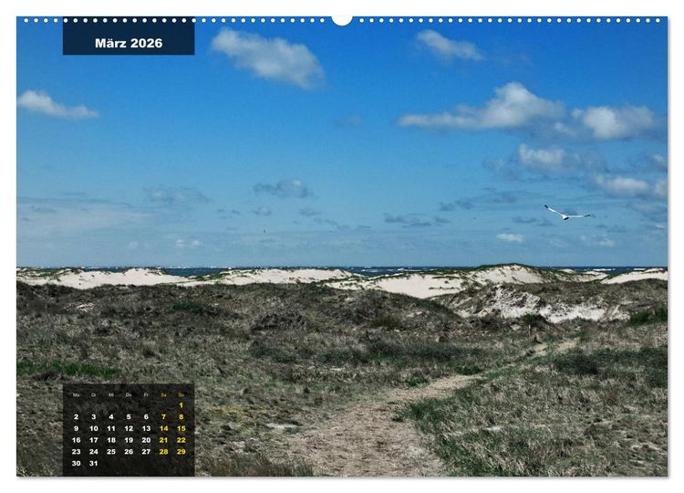 Produktbild: Texel Insel mit Charakter (hochwertiger Premium Wandkalender 2026 DIN A2 quer), Kunstdruck in Hochglanz