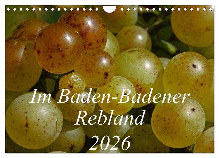 Produktbild: Im Baden-Badener Rebland 2026 (Wandkalender 2026 DIN A4 quer), CALVENDO Monatskalender
