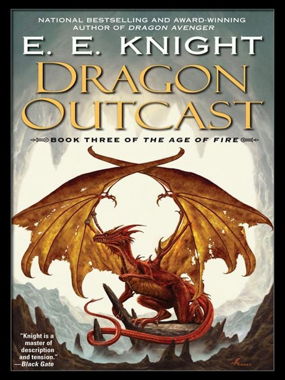 Produktbild: Dragon Outcast