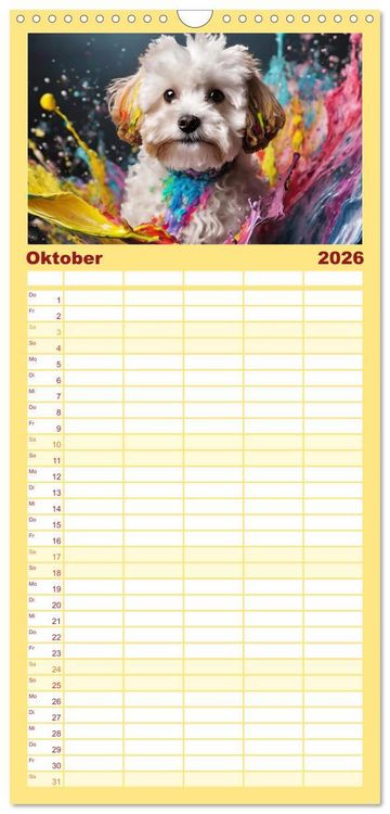 Produktbild: Familienplaner 2026 - Splash - Hunde im Farbrausch mit 5 Spalten (Wandkalender, 21 x 45 cm) CALVENDO