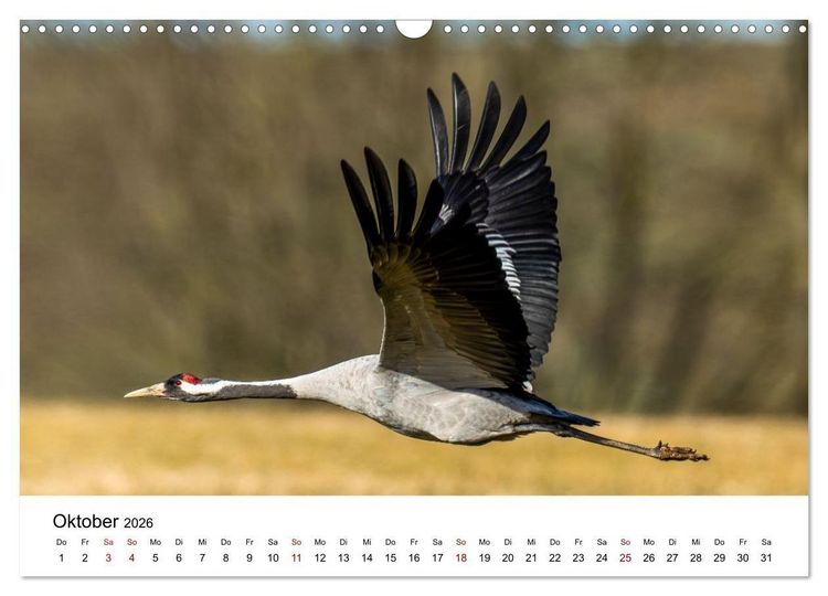 Produktbild: Kraniche im Erzgebirge (Wandkalender 2026 DIN A3 quer), CALVENDO Monatskalender