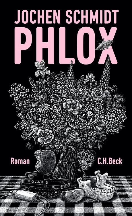 Produktbild: Phlox
