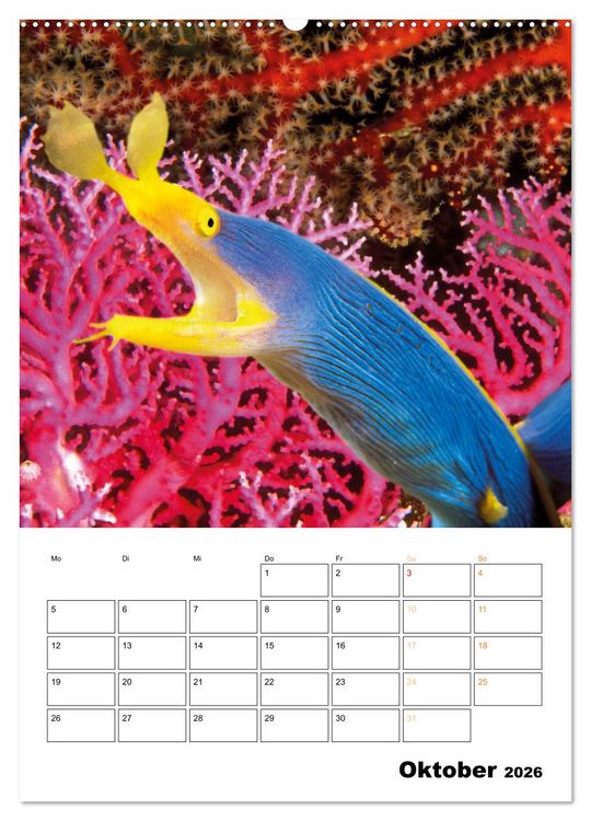 Produktbild: Farbrausch unter Wasser: Fische am Riff (Wandkalender 2026 DIN A2 hoch), CALVENDO Monatskalender