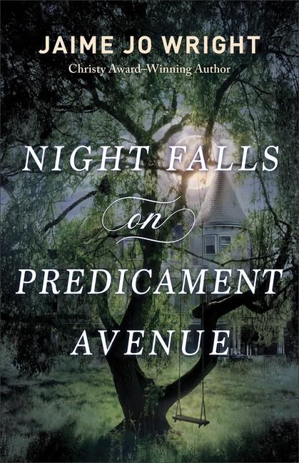 Produktbild: Night Falls on Predicament Avenue