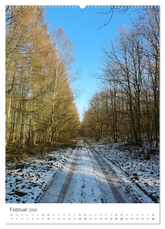 Produktbild: Wald - bezaubernde Landschaften (Wandkalender 2026 DIN A2 hoch), CALVENDO Monatskalender