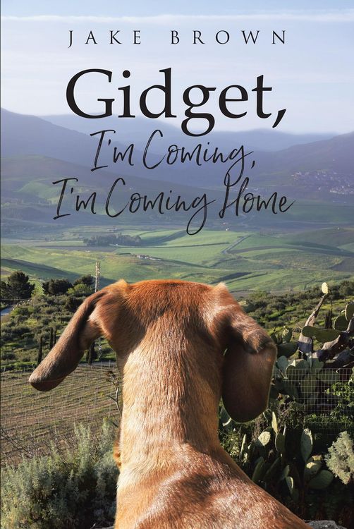 Produktbild: Gidget, I'm Coming, I'm Coming Home