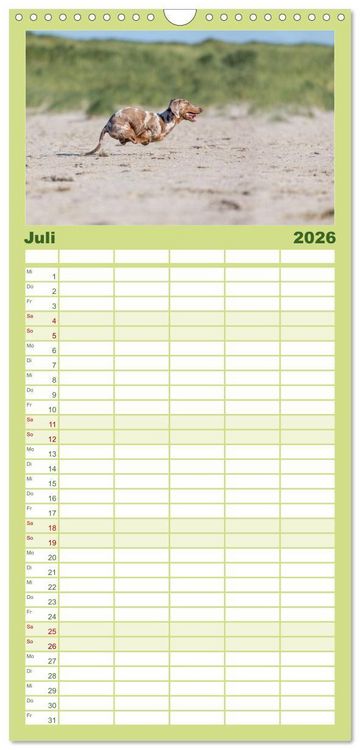 Produktbild: Familienplaner 2026 - POWERHUNDE 2026 mit 5 Spalten (Wandkalender, 21 x 45 cm) CALVENDO