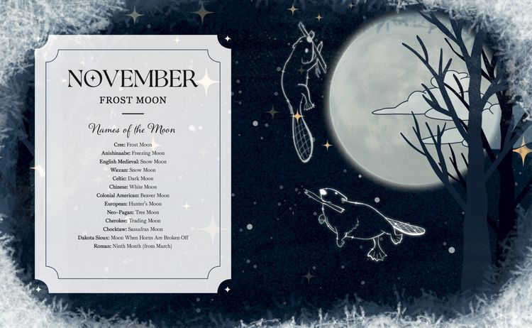 Produktbild: The Full Moon Yearbook