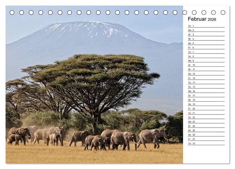 Produktbild: Elefanten . Wildlife in Kenia (Tischkalender 2026 DIN A5 quer), CALVENDO Monatskalender