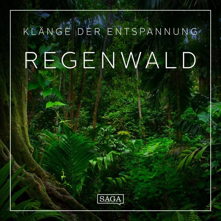 Produktbild: Kl&auml;nge der Entspannung - Regenwald