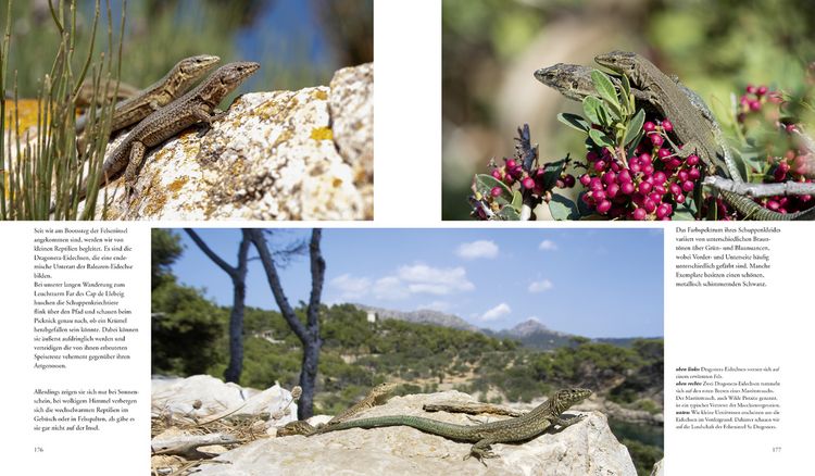Produktbild: Naturerlebnis Mallorca