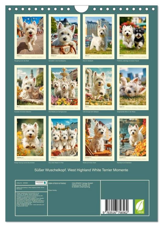 Produktbild: S&uuml;&szlig;er Wuschelkopf. West Highland White Terrier Momente (Wandkalender 2027 DIN A4 hoch), CALVENDO Monatskalender