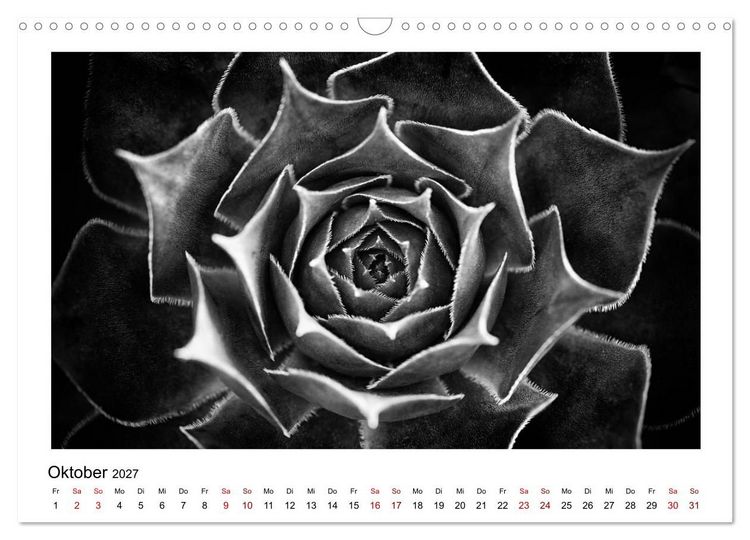 Produktbild: Die grafische Sch&ouml;nheit der Pflanzen &ndash; Schwarz-Wei&szlig; (Wandkalender 2027 DIN A3 quer), CALVENDO Monatskalender