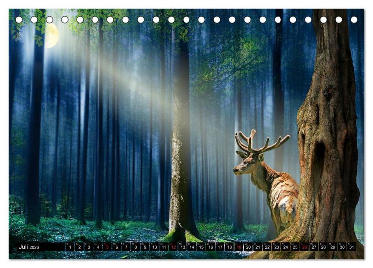 Produktbild: Mystische Vollmondn&auml;chte (Tischkalender 2026 DIN A5 quer), CALVENDO Monatskalender
